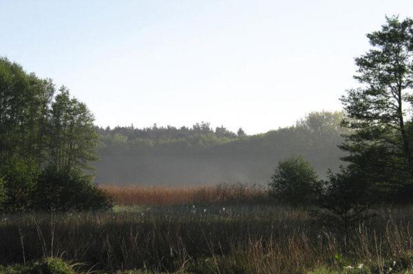 Fewo Ferien Am Schweriner See Flessenow מראה חיצוני תמונה
